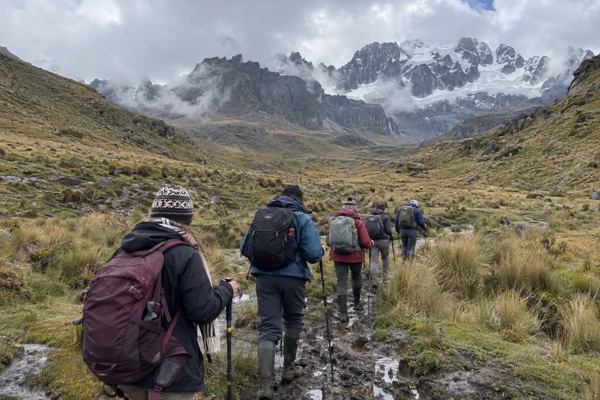 Grupo de excursionistas con mochilas caminando por un sendero de páramo hacia montañas nevadas.